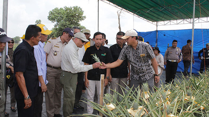 Produk Buah-Buahan GGF Dijual di Timur Tengah