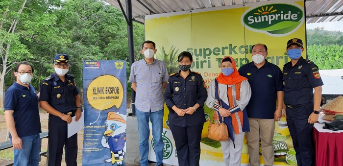 PT Nusantara Segar Abadi (NSA) First Harvesting Cavendish Banana Export Quality in Jembrana Regency, Bali