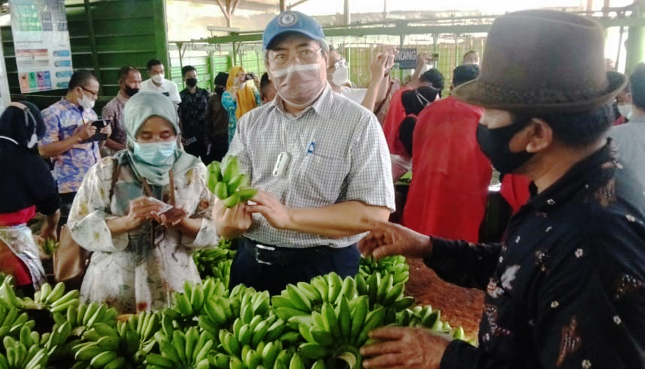 Deputi III KSP RI Verifikasi Lapangan Petani Pisang Mas Mitra PT GGP