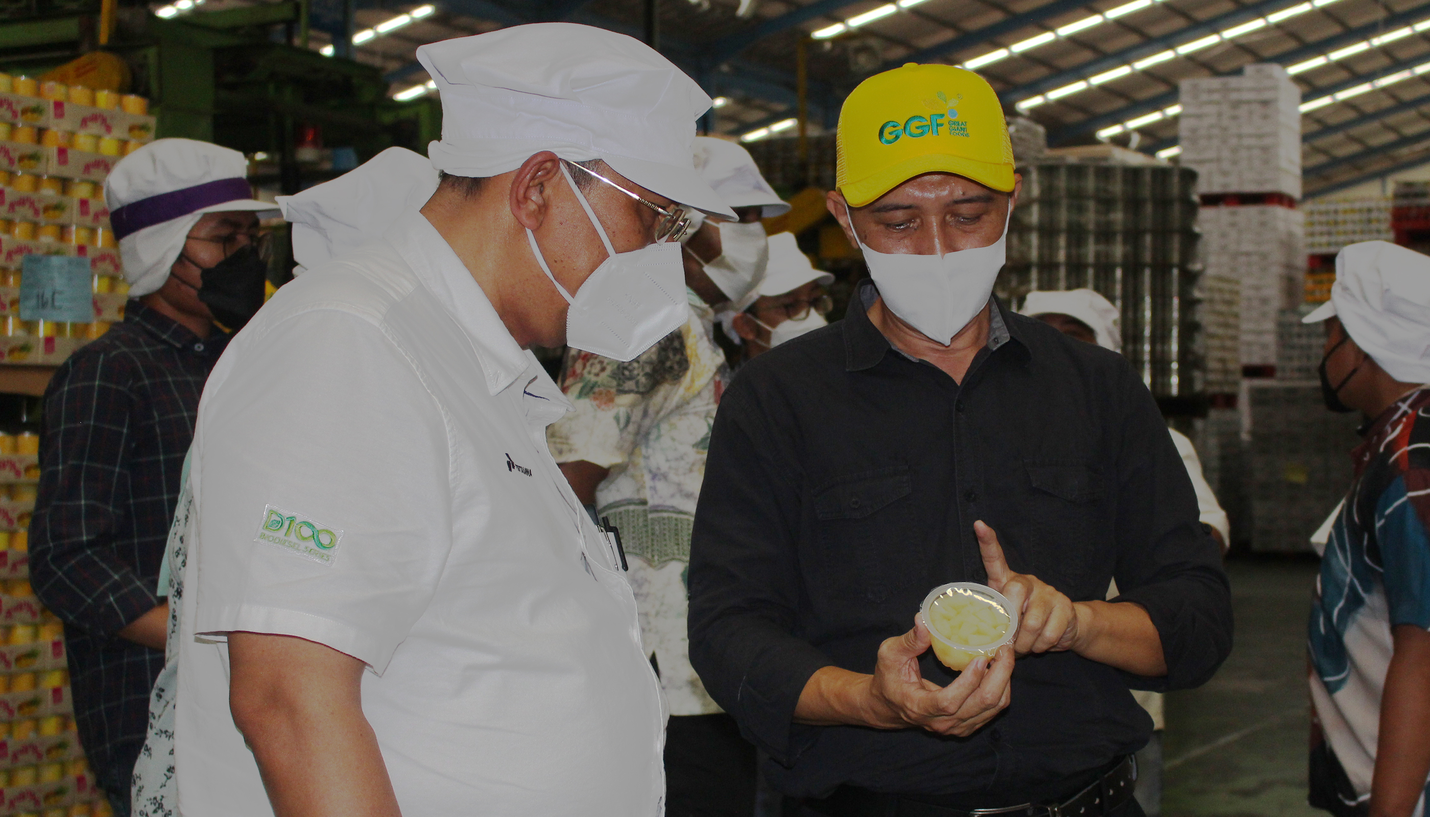 Director of the Ministry of Industry Visits GGF