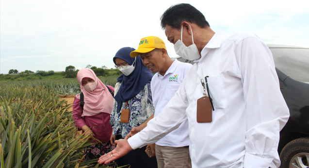 Kunjungan Industri Rektor Universitas Jenderal Soedirman ke GGF Lampung