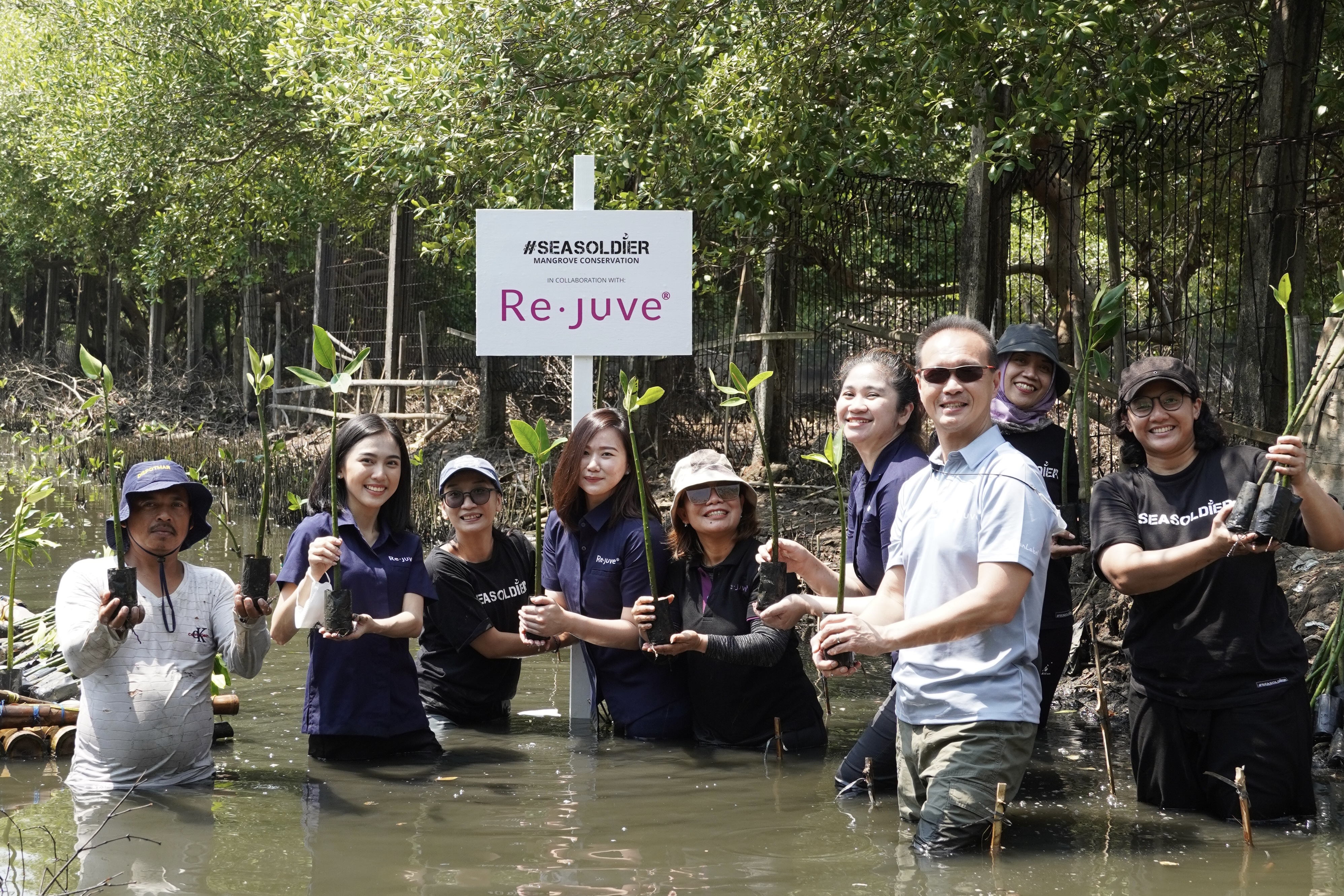 Re.juve Plants 2,500 Mangrove Seedlings with Seasoldier