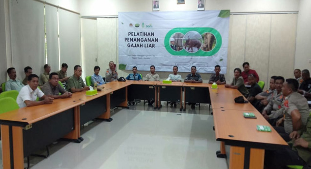 Plantation Group 4 Elephant Security Team Conducts Training on Handling Wild Elephants