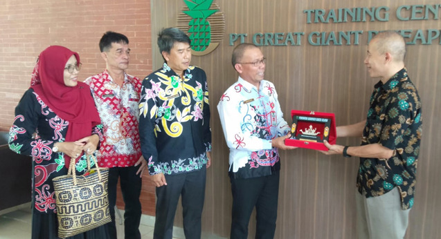 Barito Regency Government Conducts Comparative Study of PT GGP Pineapple Cultivation