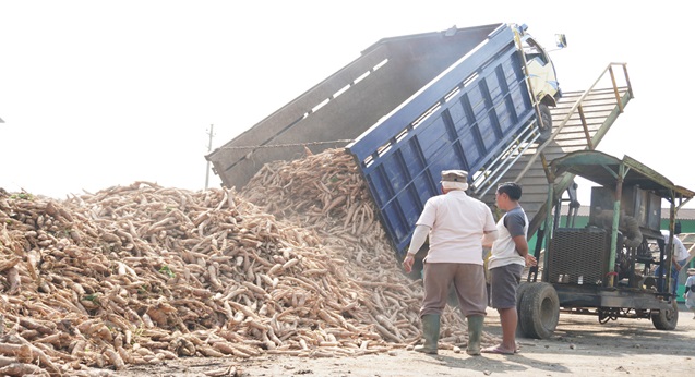 PT UJA’s supply of cassava raw materials will increase by 30 percent in 2023