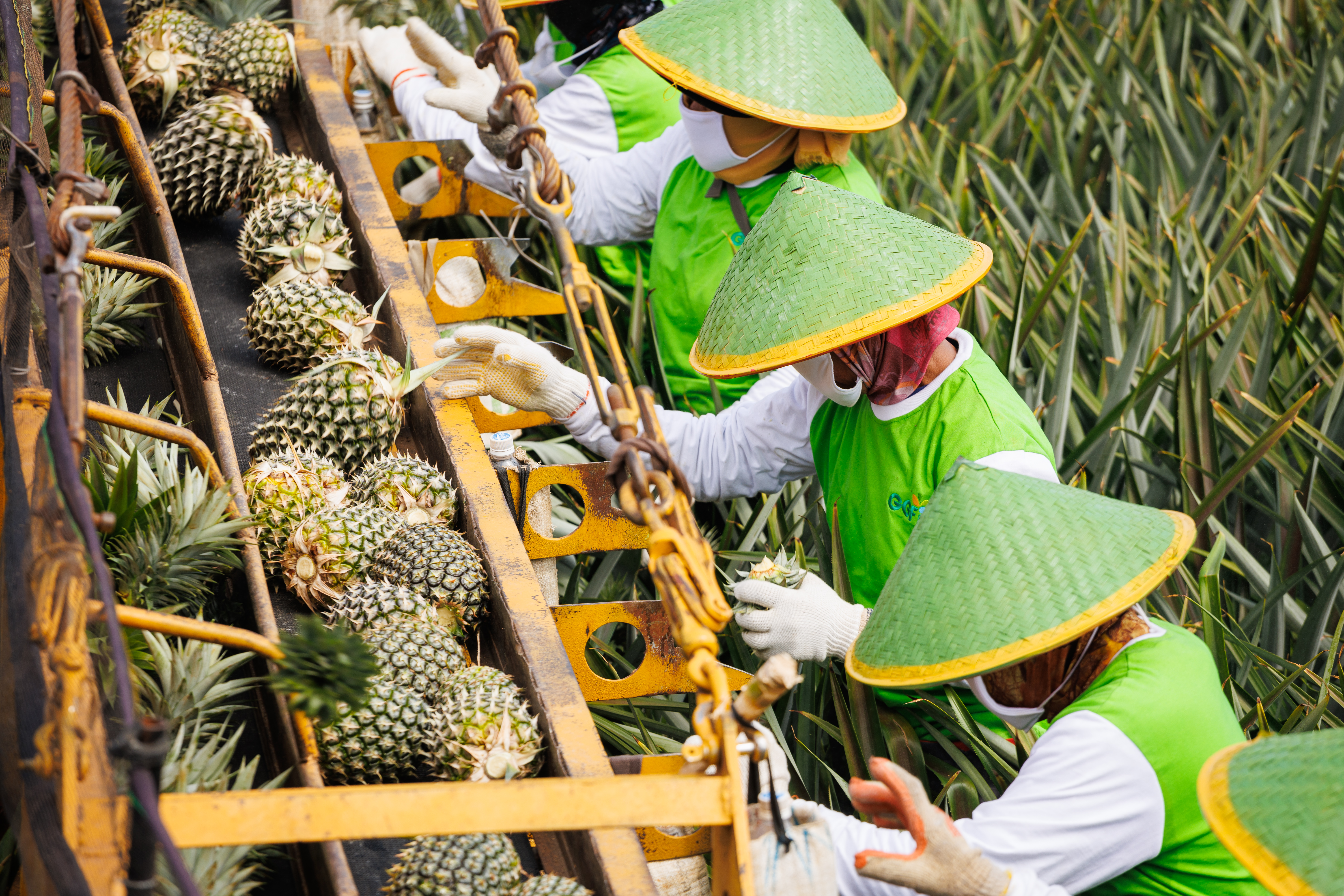 PT GGP Sukses Raih Skor ESG Rating Pertama di Indonesia