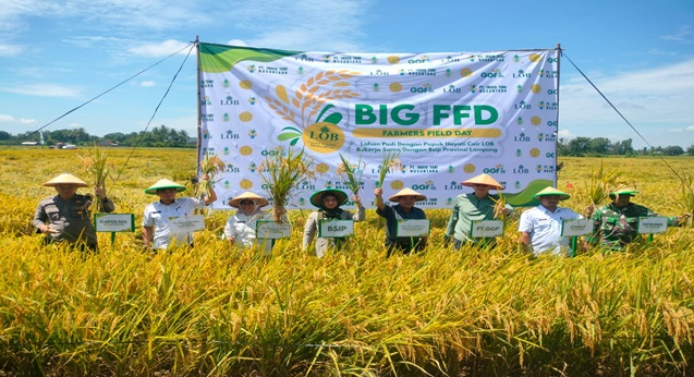 Demplot LOB Tingkatkan Tonase Produksi Tanaman Padi