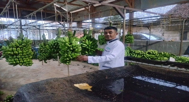 Banana Partnership Improves My Quality of Life